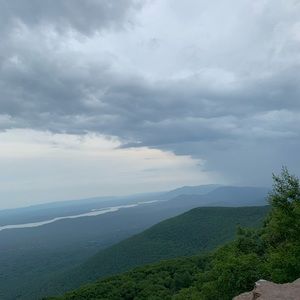 Meet your Posher, Patricia